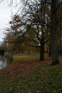 Autumn in Haarlem